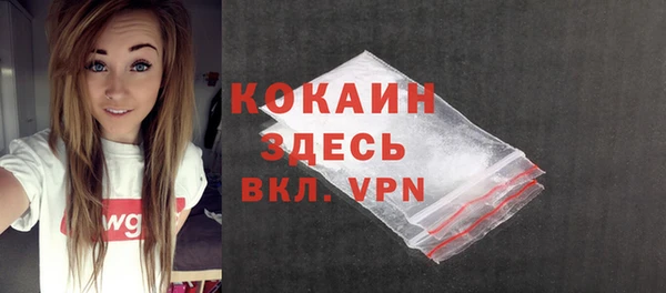 сатива Корсаков