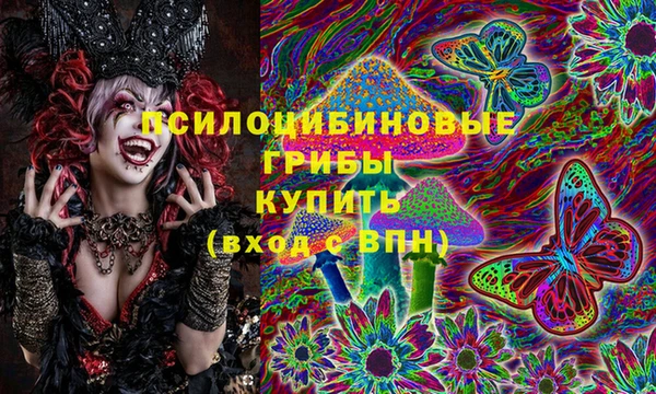 прущие грибы Киреевск