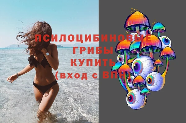 метамфетамин Козловка