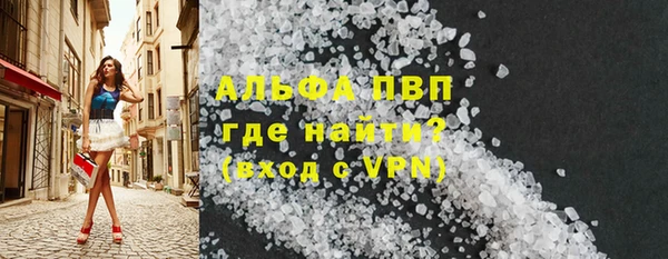 сатива Корсаков