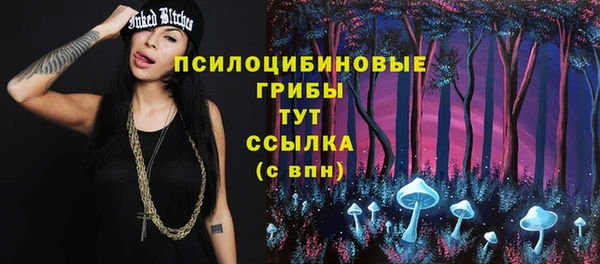 синтетический гашиш Костерёво