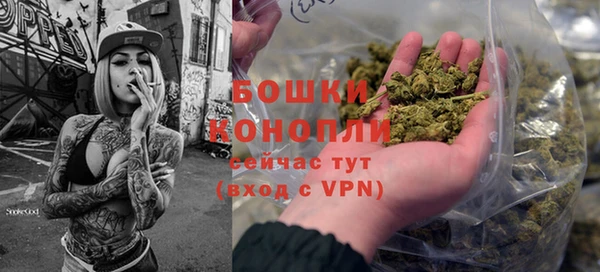 сатива Корсаков