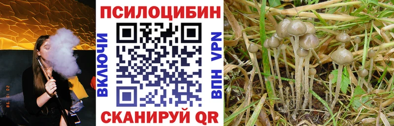 darknet какой сайт  Спасск  KRAKEN вход  Галлюциногенные грибы MAGIC MUSHROOMS  наркошоп 